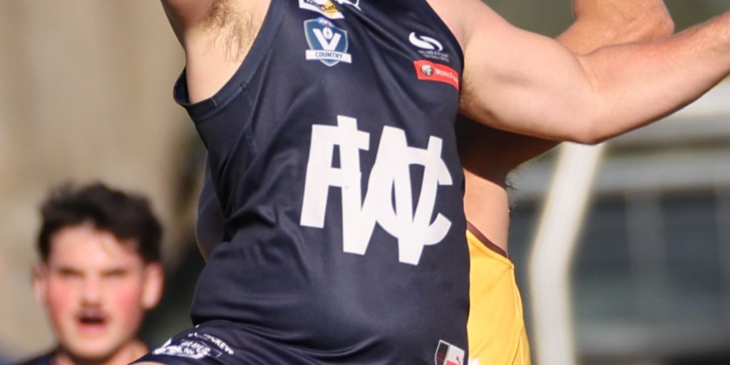 Blues welcome back gun forward, add basketballer