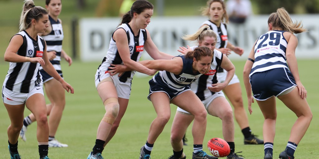 Falcons boss appointed to Cats’ role
