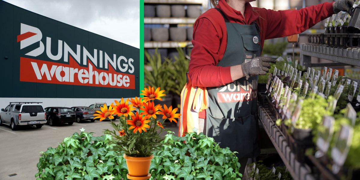 Bunnings Criticised for Selling Invasive Plants K ROCK 95.5