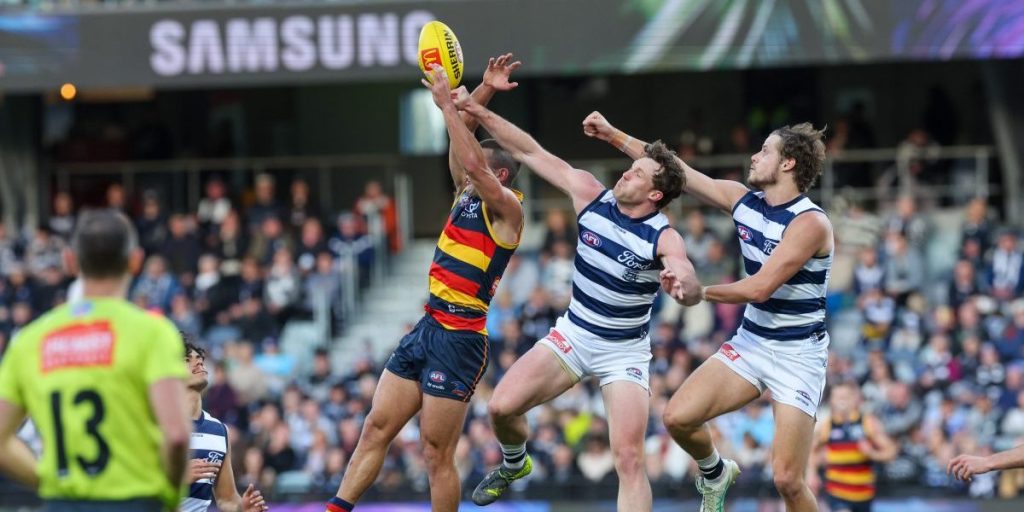 Veteran Cat concussed