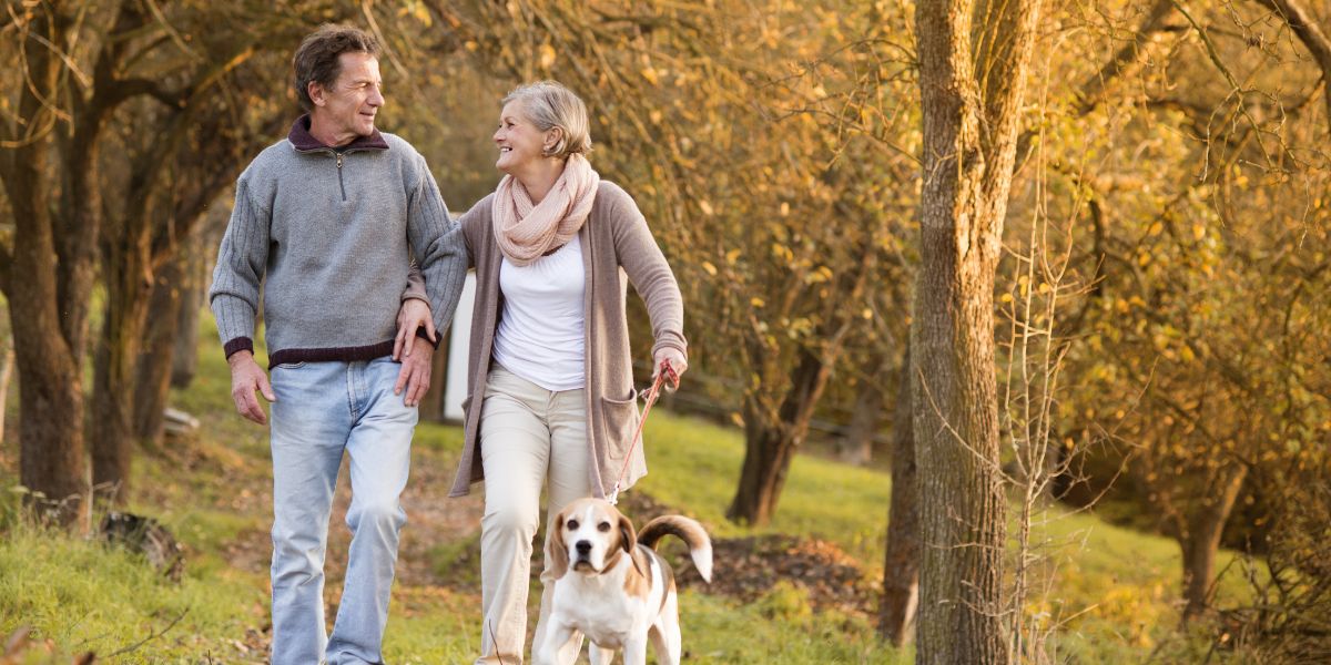 Why Dog Owners Might Have a Sharper Mind in Old Age