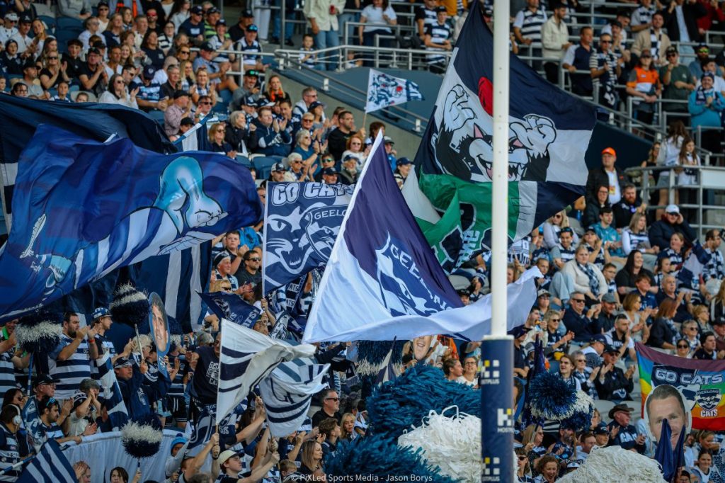 Cats to meet Bombers under Friday night lights