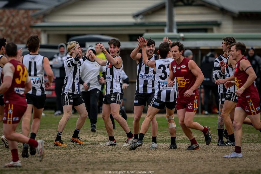 Magpies adapt to bounce back