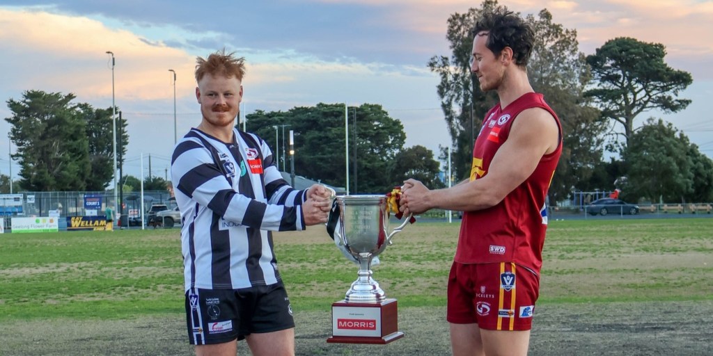 Feathers set to fly in battle of the birds