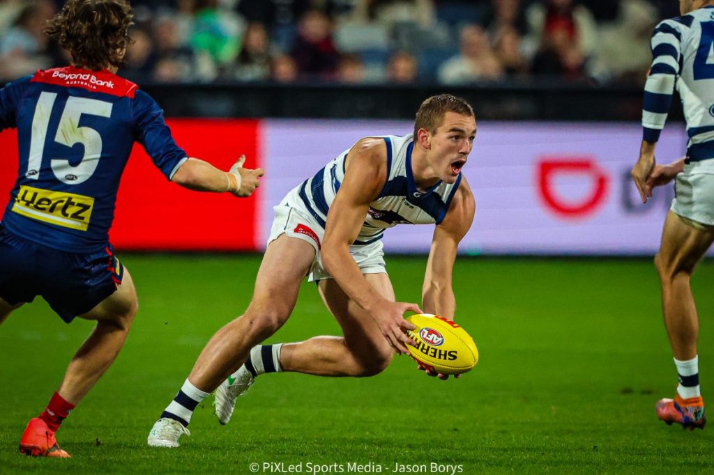 Cats cut Clohesy, rookie plans for two others