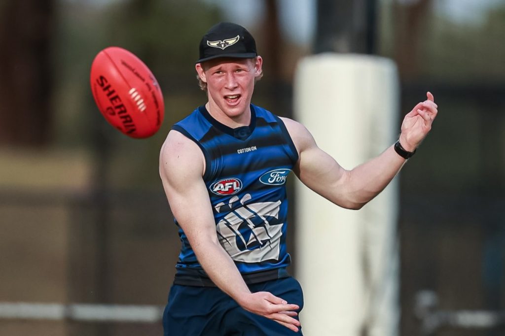 Cats VFL player signs with Surf Coast