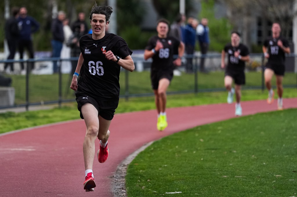 Oh Brother! Cats add another Holmes