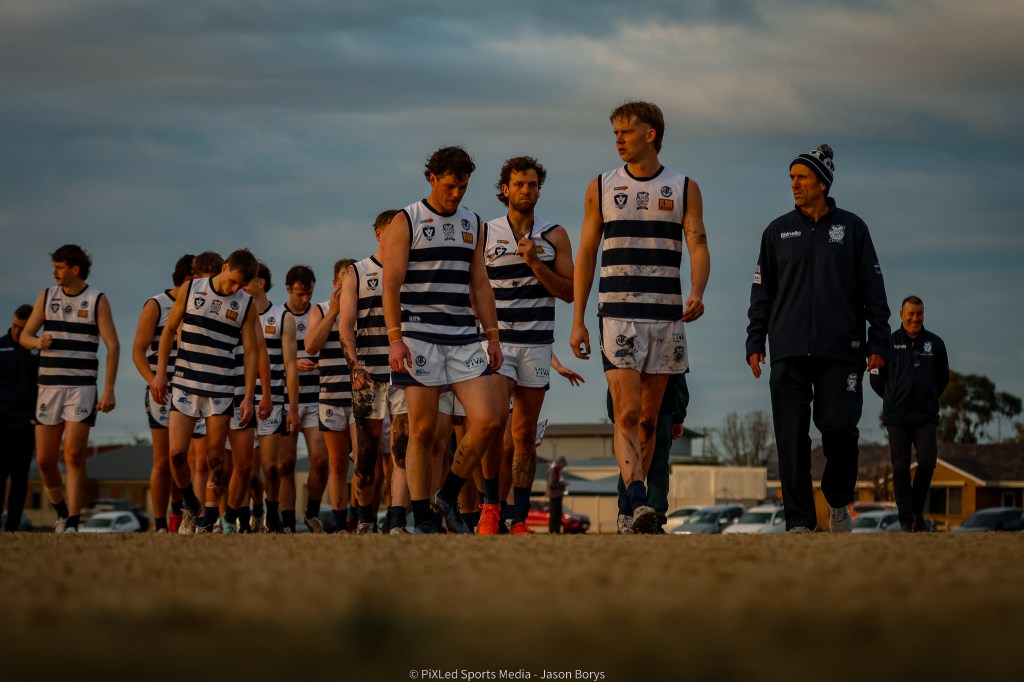 Cats “fully committed” to 2026