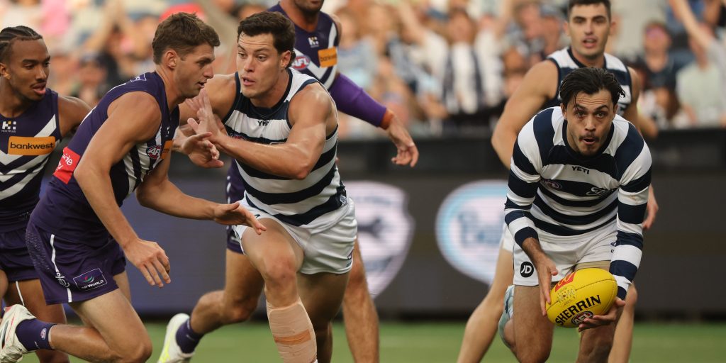 Cats make Close call