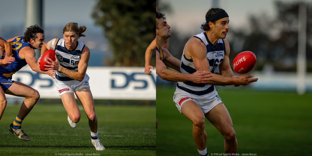VFL Cats finds AFL home