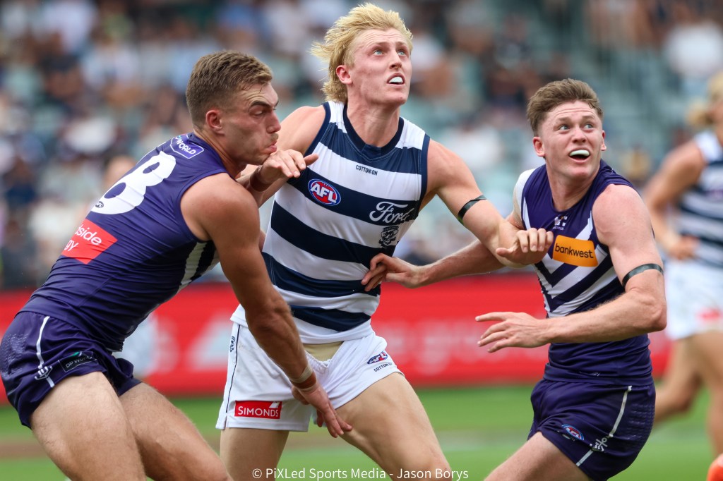 Cats delist Knevitt but leave door open